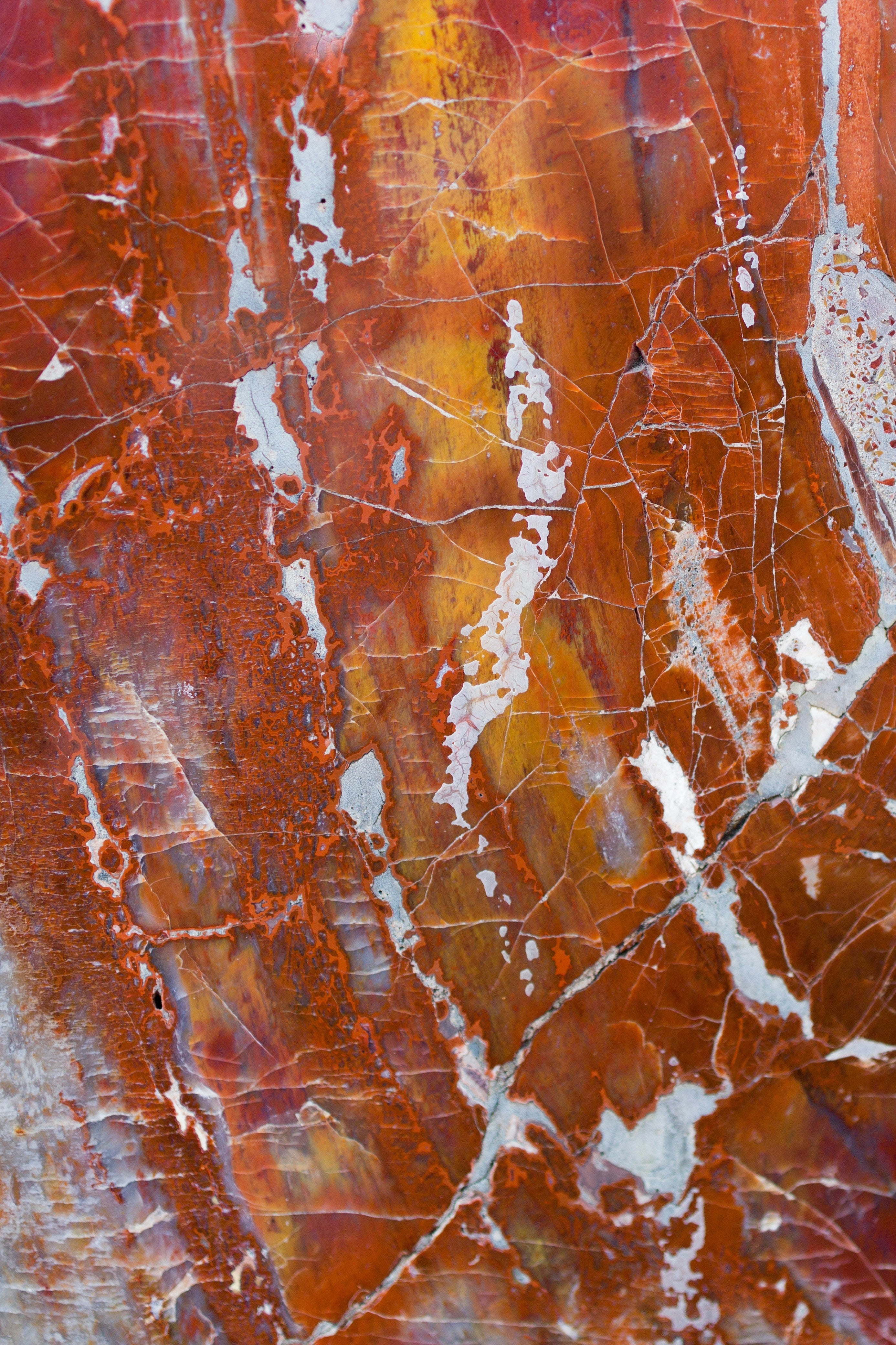 Amber - FOURFIFTYONE