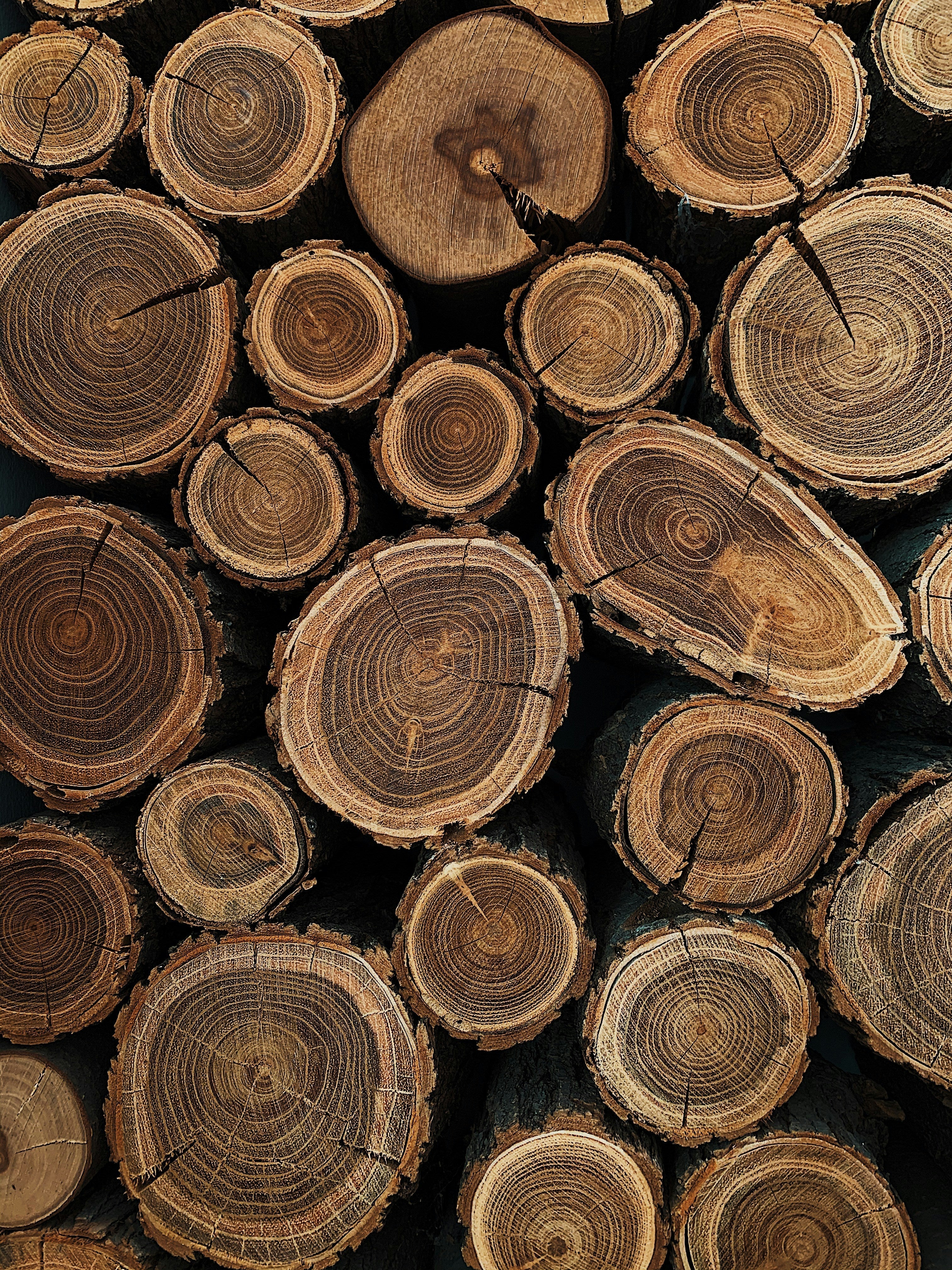 Woody - FOURFIFTYONE