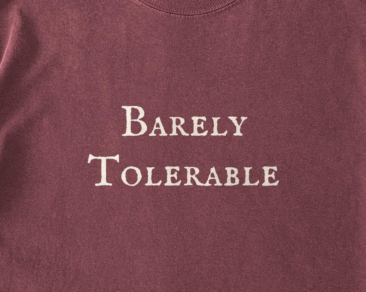 Barely Tolerable Comfort Colors T-Shirt, Pride and Prejudice Garment-Dyed Cotton - FOURFIFTYONE