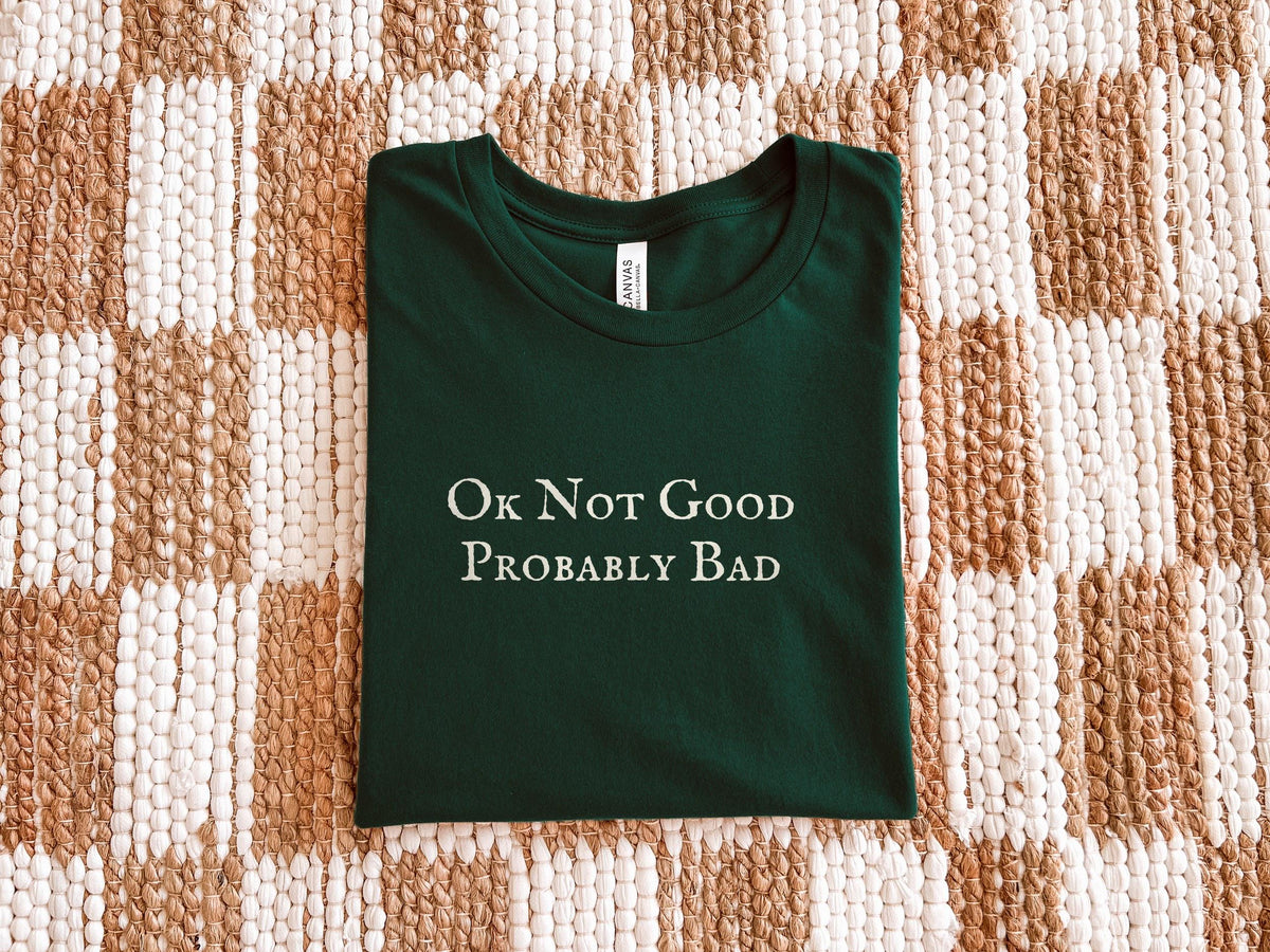 Ok Not Good Probably Bad | Heated Rivalry | Bella Canvas T-Shirt