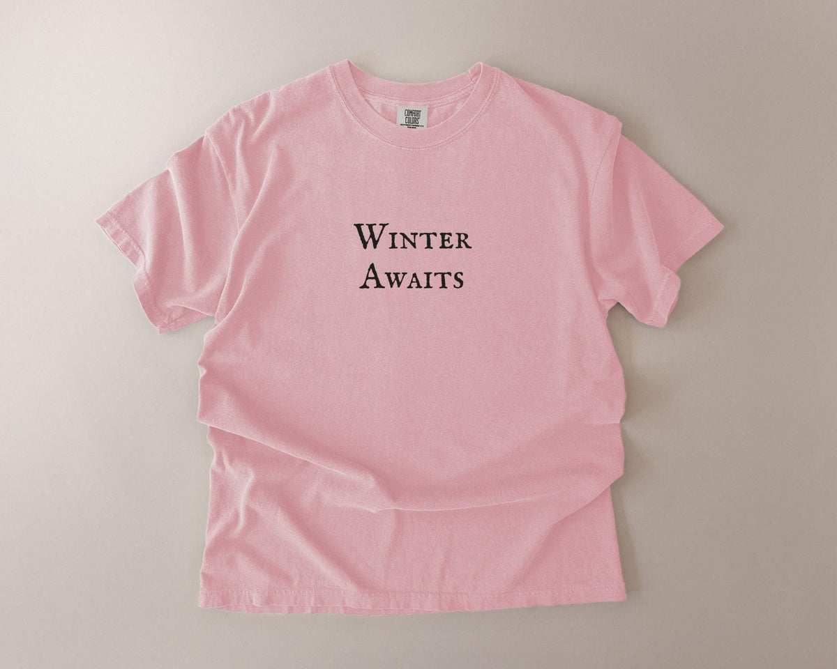 Winter Awaits Comfort Colors T-Shirt, Cozy Bookish Garment-Dyed Cotton - FOURFIFTYONE